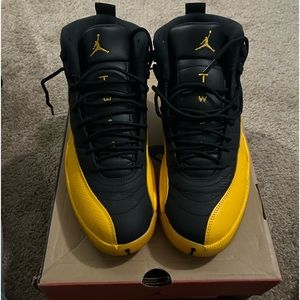 University Gold 12s
